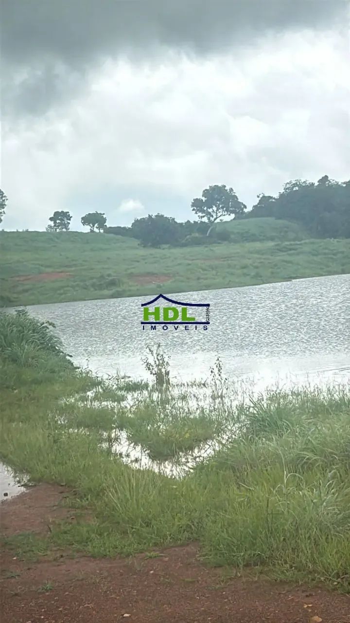 Fazenda Dupla aptidão a 40 km de Alvorada/TO - Foto 3