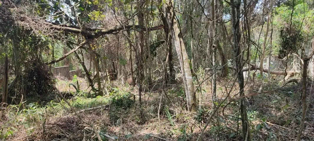 Foto - Mairiporã - Rancho Grande