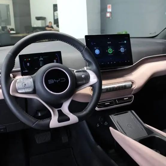 BYD Dolphin Mini (Elétrico) 2025 - Foto 3