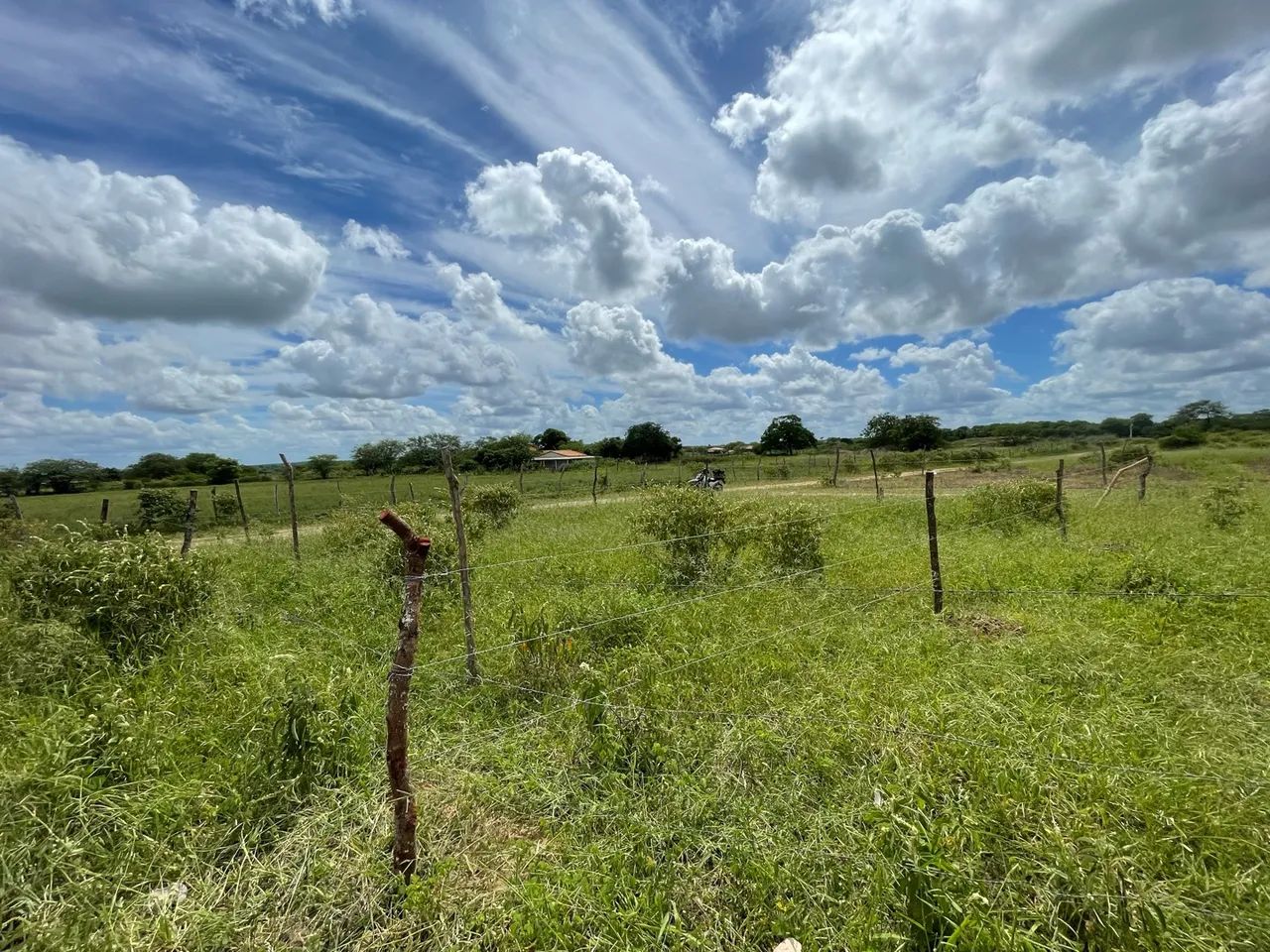 Chão no nova glória 