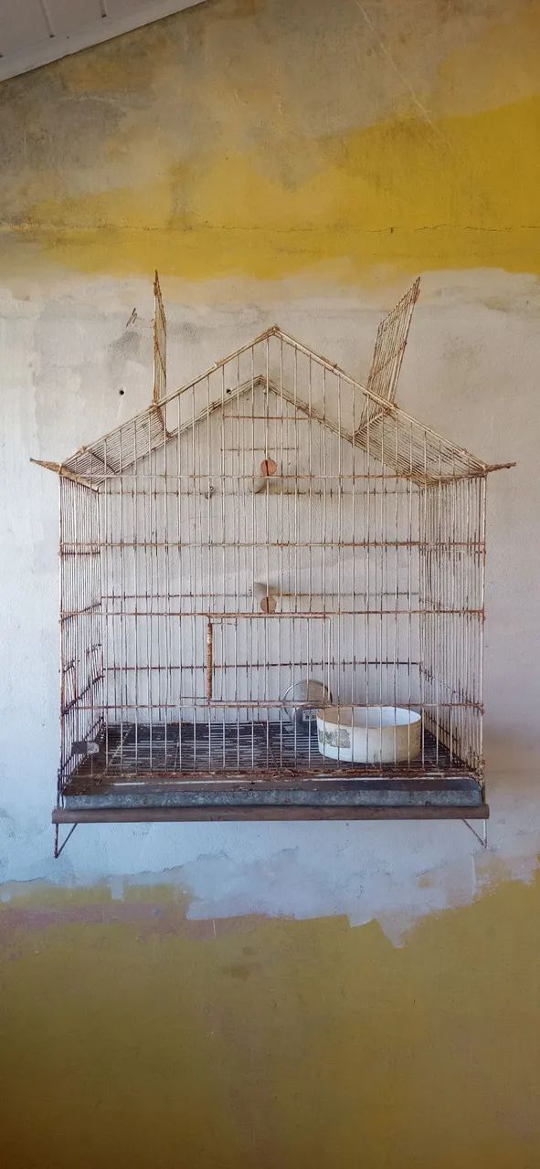 Gaiola - Foto 5