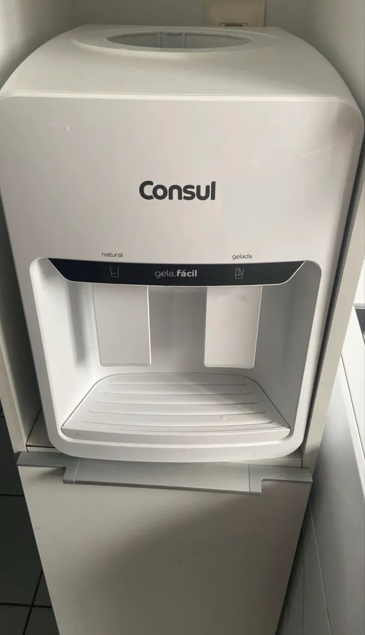 Gelagua cônsul  - Foto 2