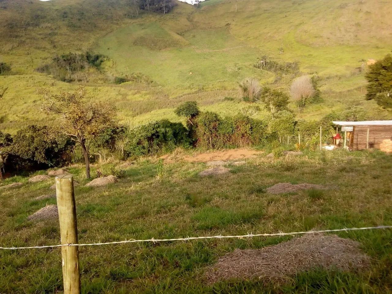 Terreno Granja Monte Verde - Foto 4