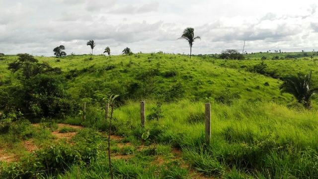 Fazenda 1700 alqueires na beira do Rio Araguaia-TO - Foto 4