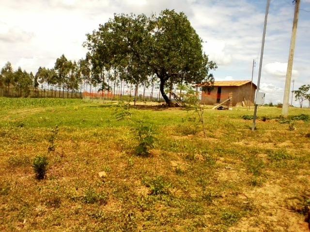 Vende-se Sitio 44 ha a 27 km de presidente - Foto 2