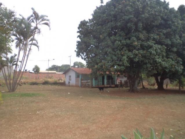 Terreno à venda com 0 dormitórios em Zona rural, Goianira cod:901 - Foto 4