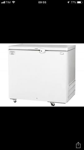 Frizer 310lt - Foto 4