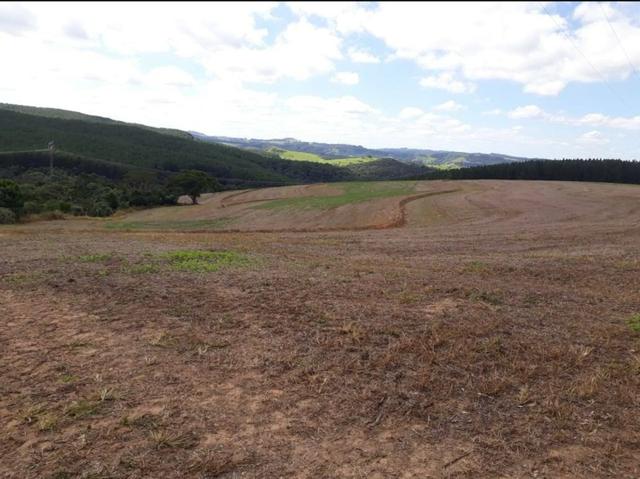 Terreno rural - Foto 6