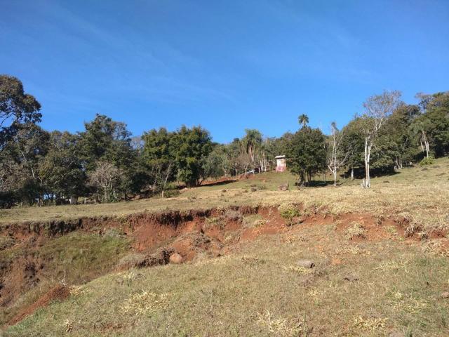 Vendo chácara em mangueirinha-pr - Foto 6