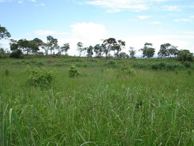 Fazenda 484 hectares em Governador Valadares/MG - Foto 5