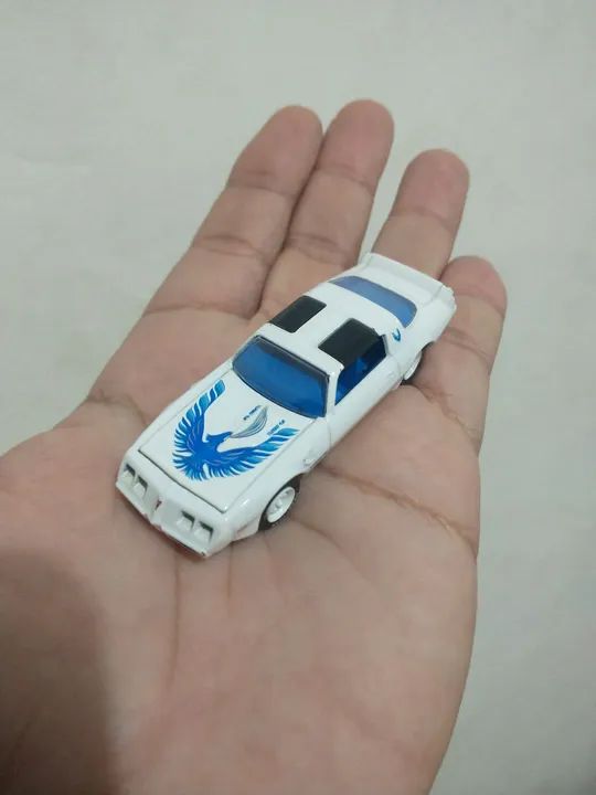 Miniatura Carro Pontiac T/A (1980) - County Roads - Série 8 - 1:64