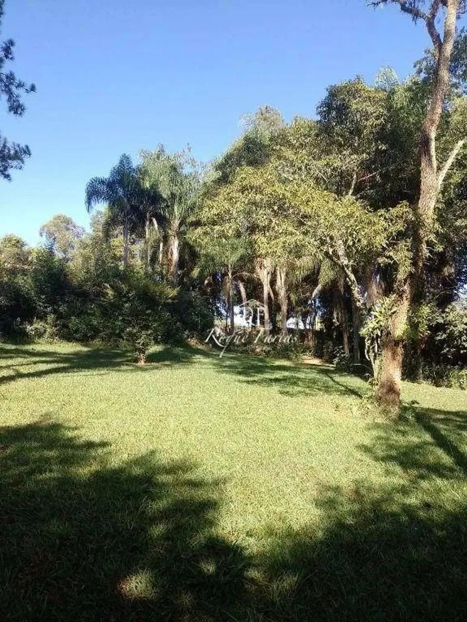Chácara com 4 dormitórios à venda, 3300 m² por R$ 890.000,00 - Chácaras Campo Limpo - Camp - Foto 5