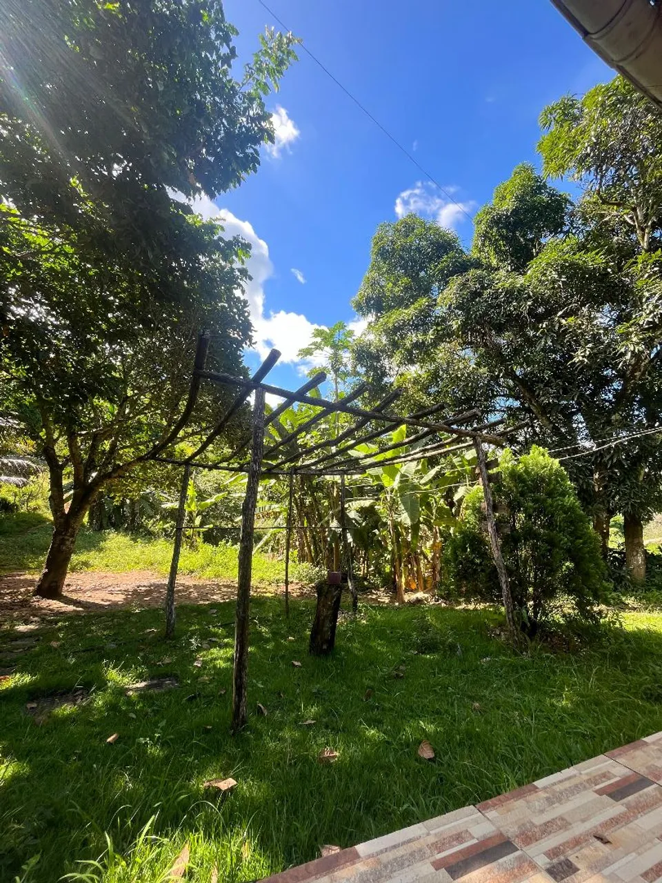 Sítio em São José da Lage