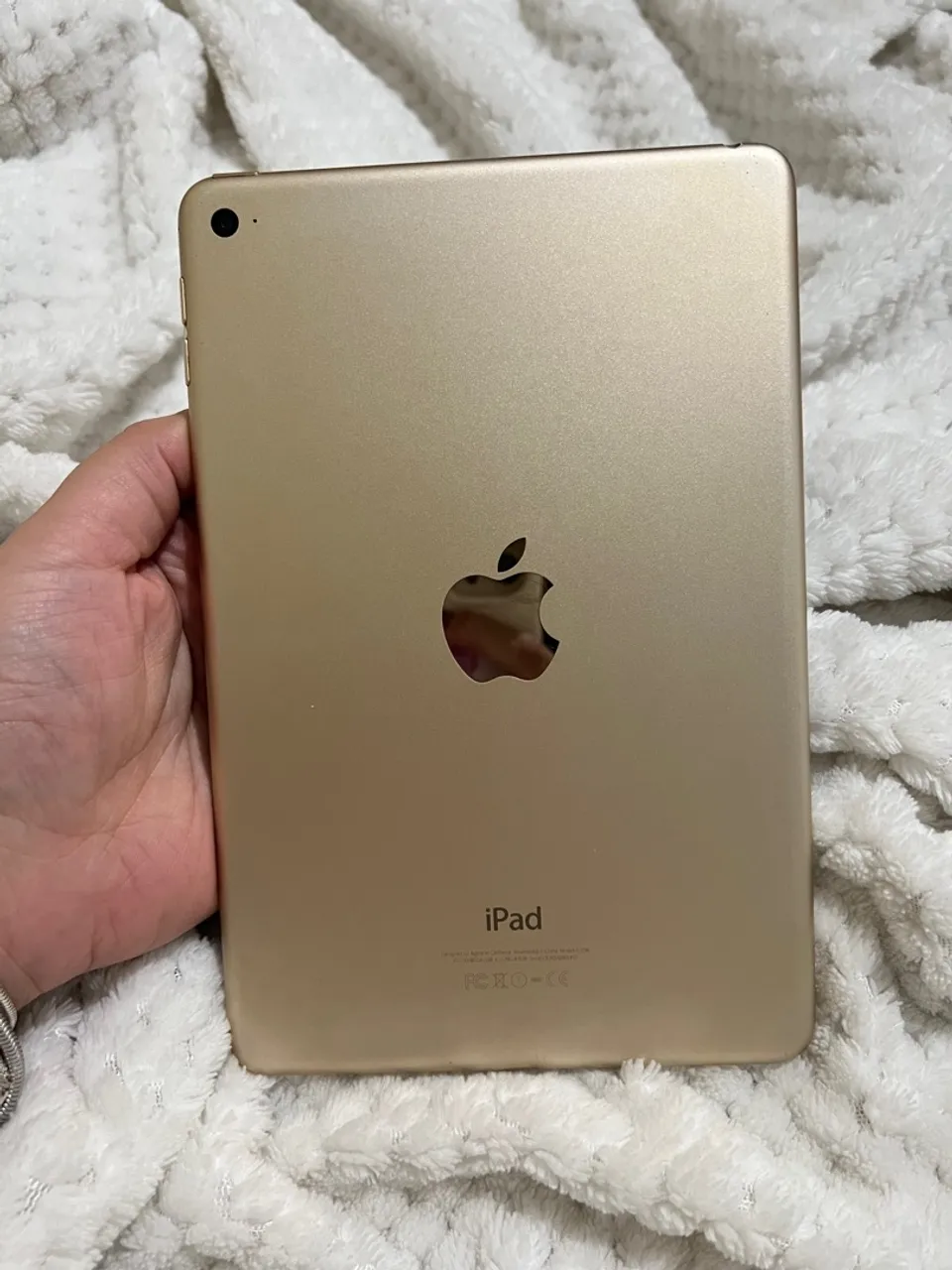 iPad mini 4 16 gb