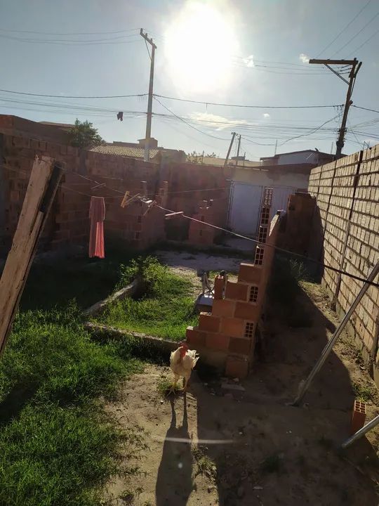 Terreno para construção em ótima localização - Foto 4