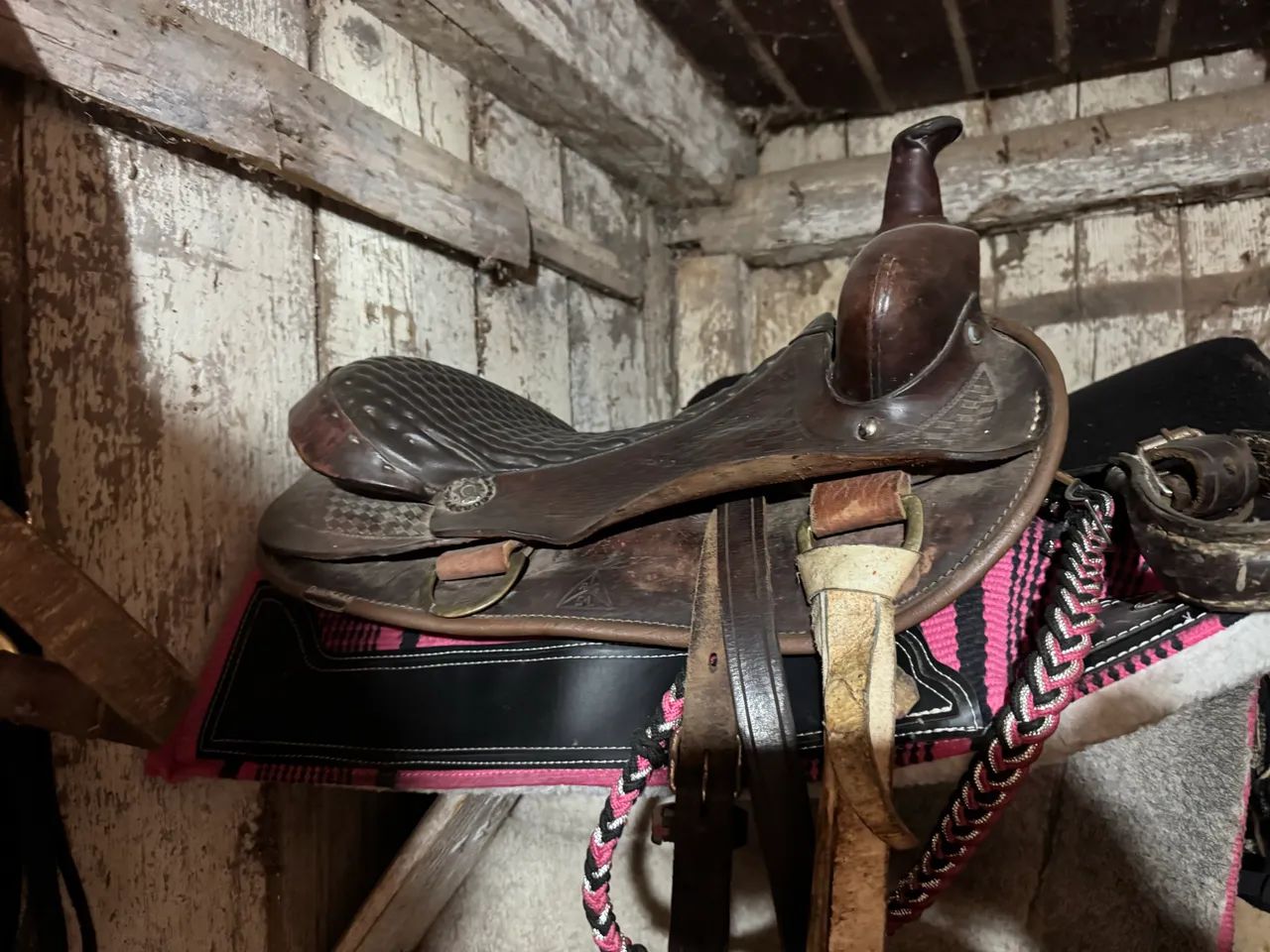 Sela búfalo - Foto 2