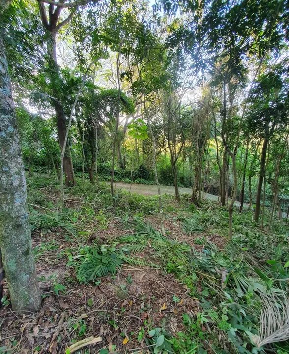 Terreno  em Local Tranquilo, 1200 m2 escritura pública