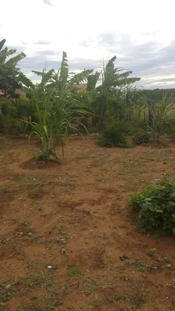 Oportunidade  - Foto 2