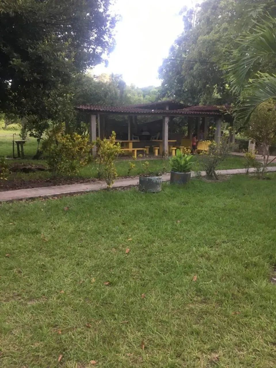 Ótima Oportunidade Granja 08 hec, Casas, Lazer, Usina Solar em Igarassu, Aceito Carro - Foto 4