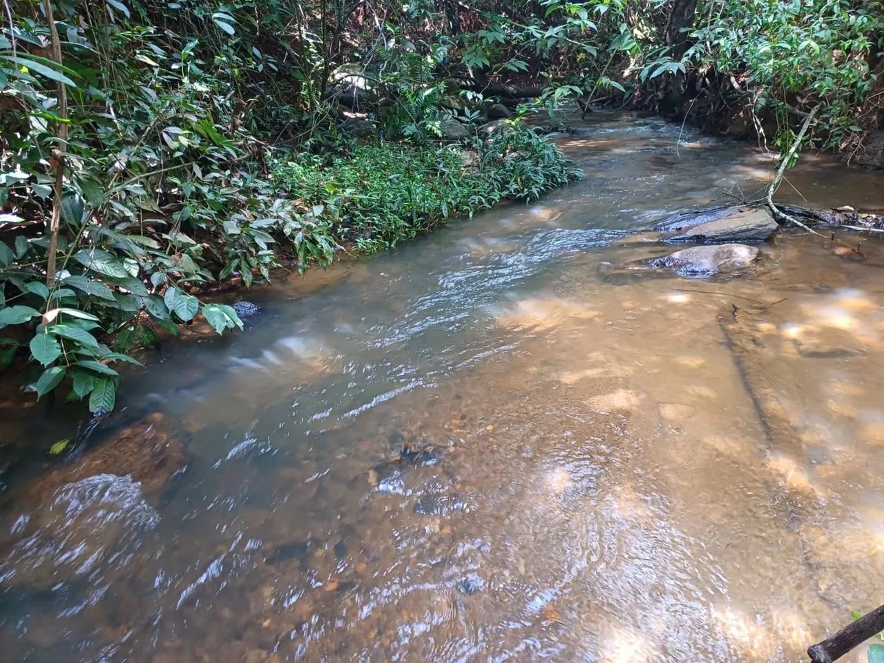 Chácara em gameleira de goias 10.000 metros - Foto 4