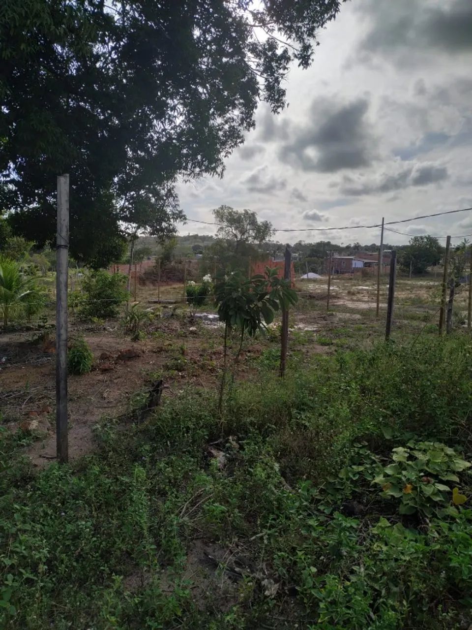Terreno em Arembepe - linha verde - Foto 3