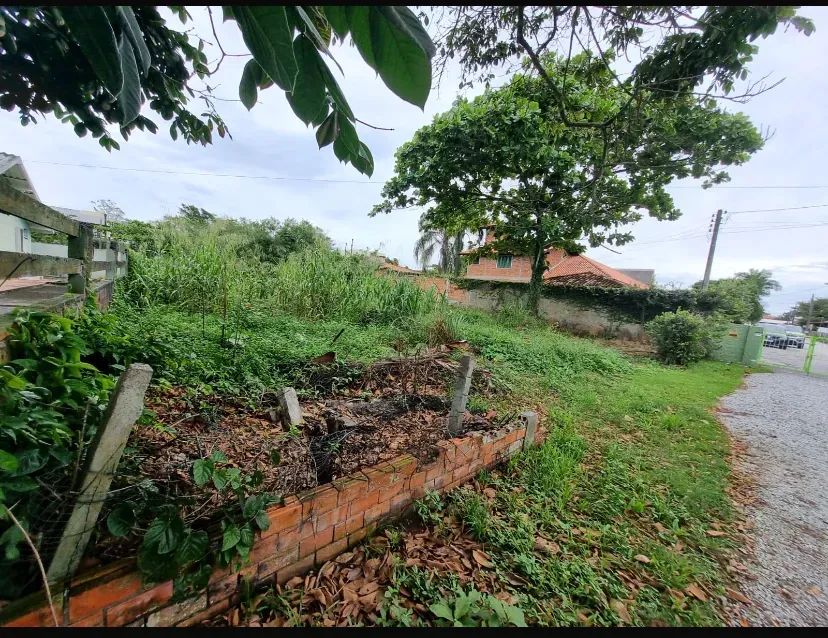 Imóvel para venda com 400 metros quadrados em Cachoeira do Bom Jesus - Florianópolis - SC