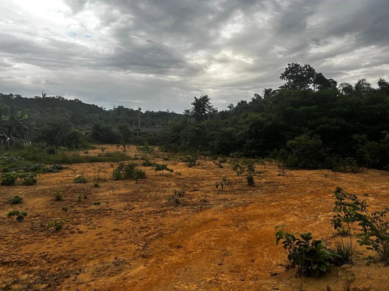 Venda de terreno  - Foto 2