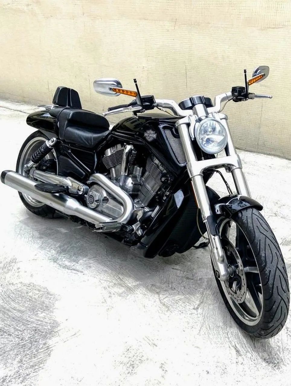 Haley Davidson Muscle 1250 sem detalhes 