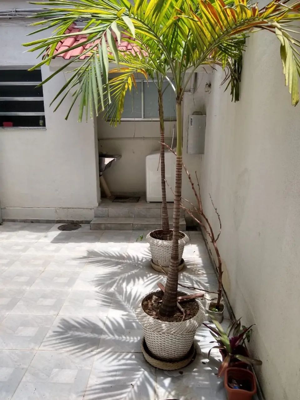 Foto - Rio de Janeiro - Engenho Novo