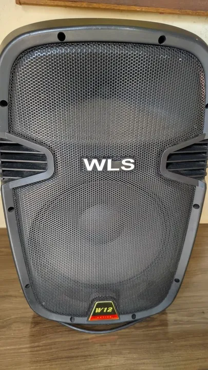 Caixa de Som WLS W12 Active Profissional, perfeito estado