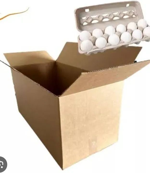Vendo caixa de ovos - Foto 2