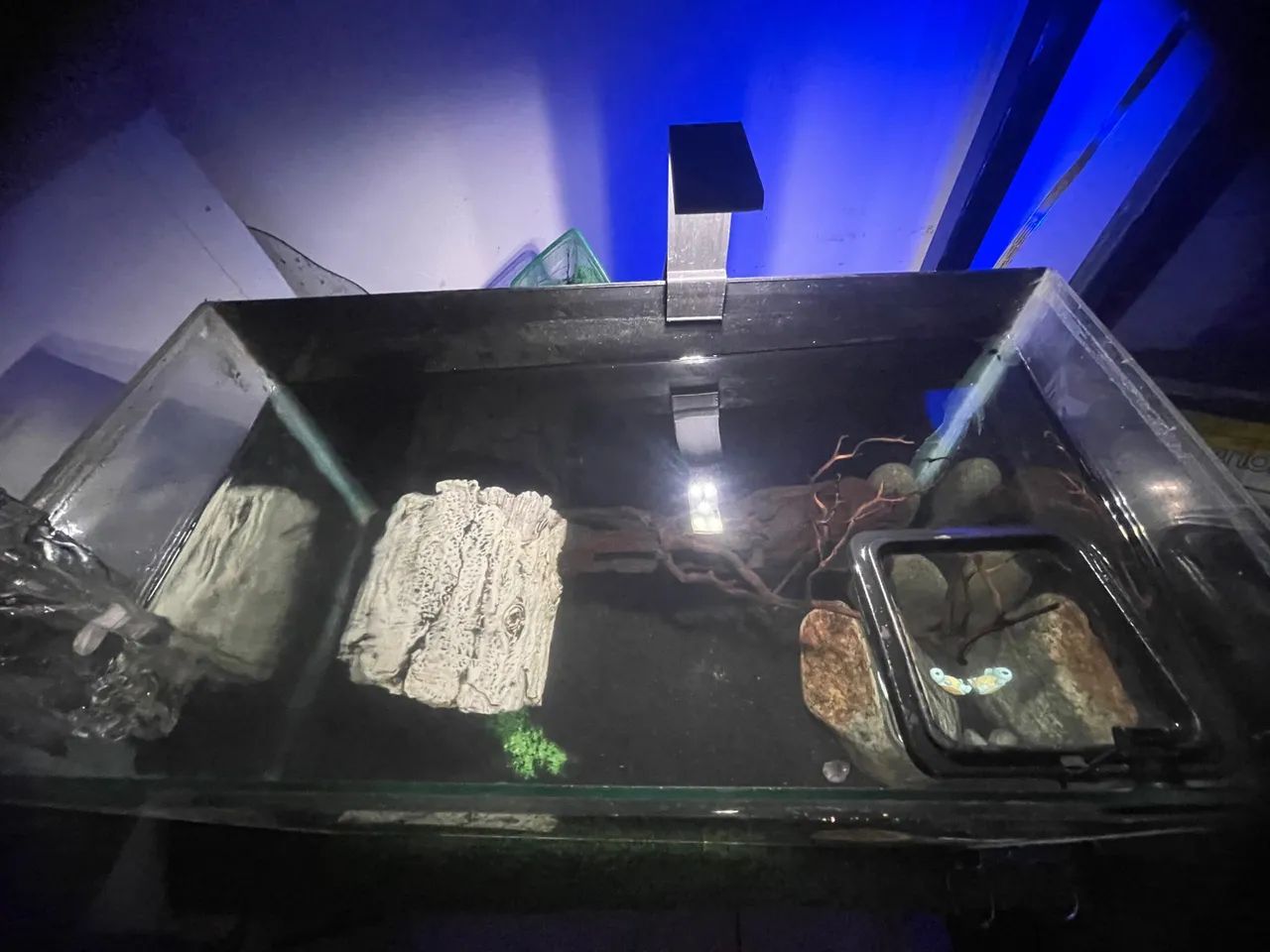 Aquário completo  - Foto 2