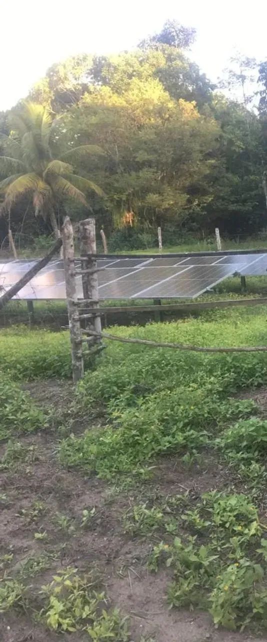 Ótima Oportunidade Granja 08 hec, Casas, Lazer, Usina Solar em Igarassu, Aceito Carro - Foto 11