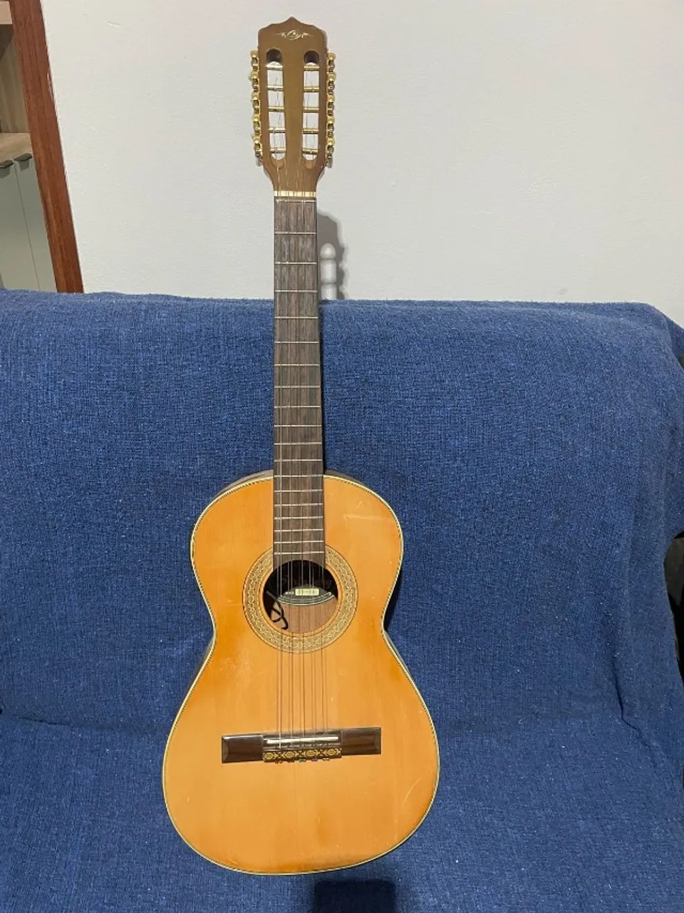 Viola 10 cordas