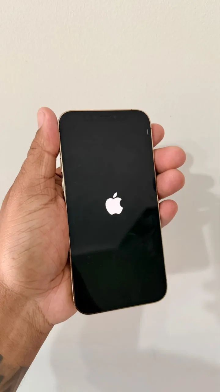 iPhone 12 Pro 128gigas