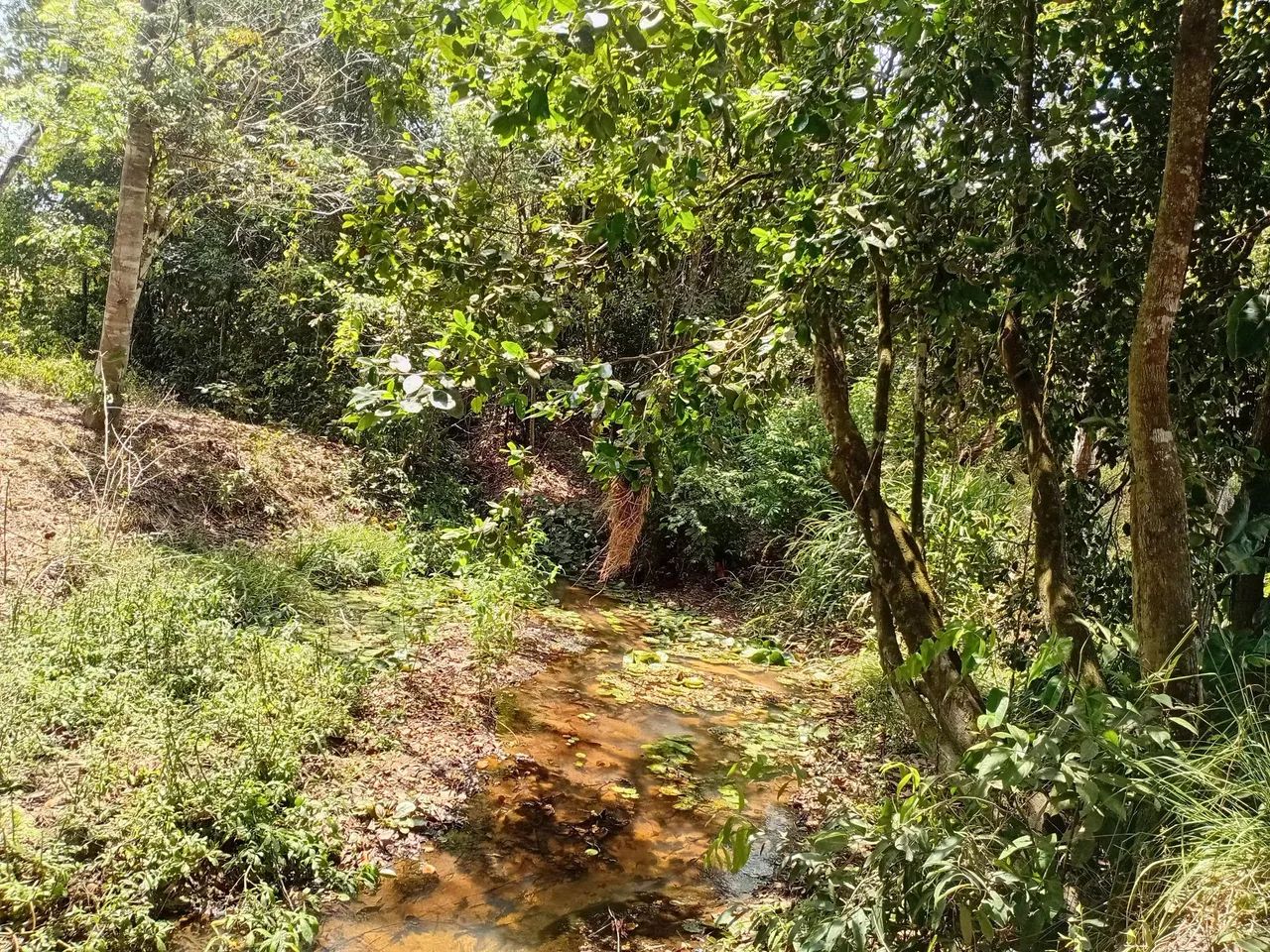 Vendo sitio - Foto 4