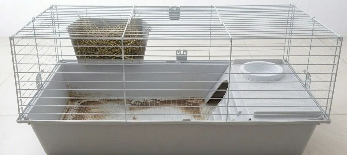 Gaiola grande e espaçosa para roedores/coelhos etc... - Foto 3