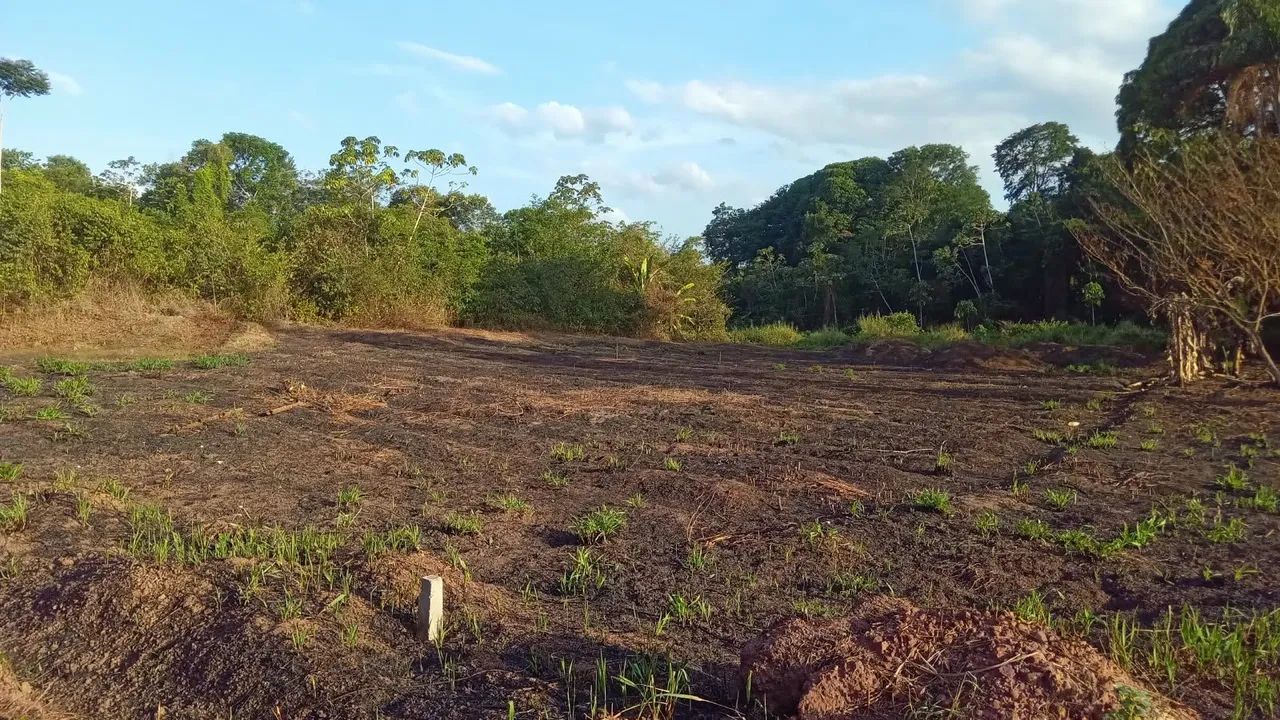 Terreno  - Foto 3