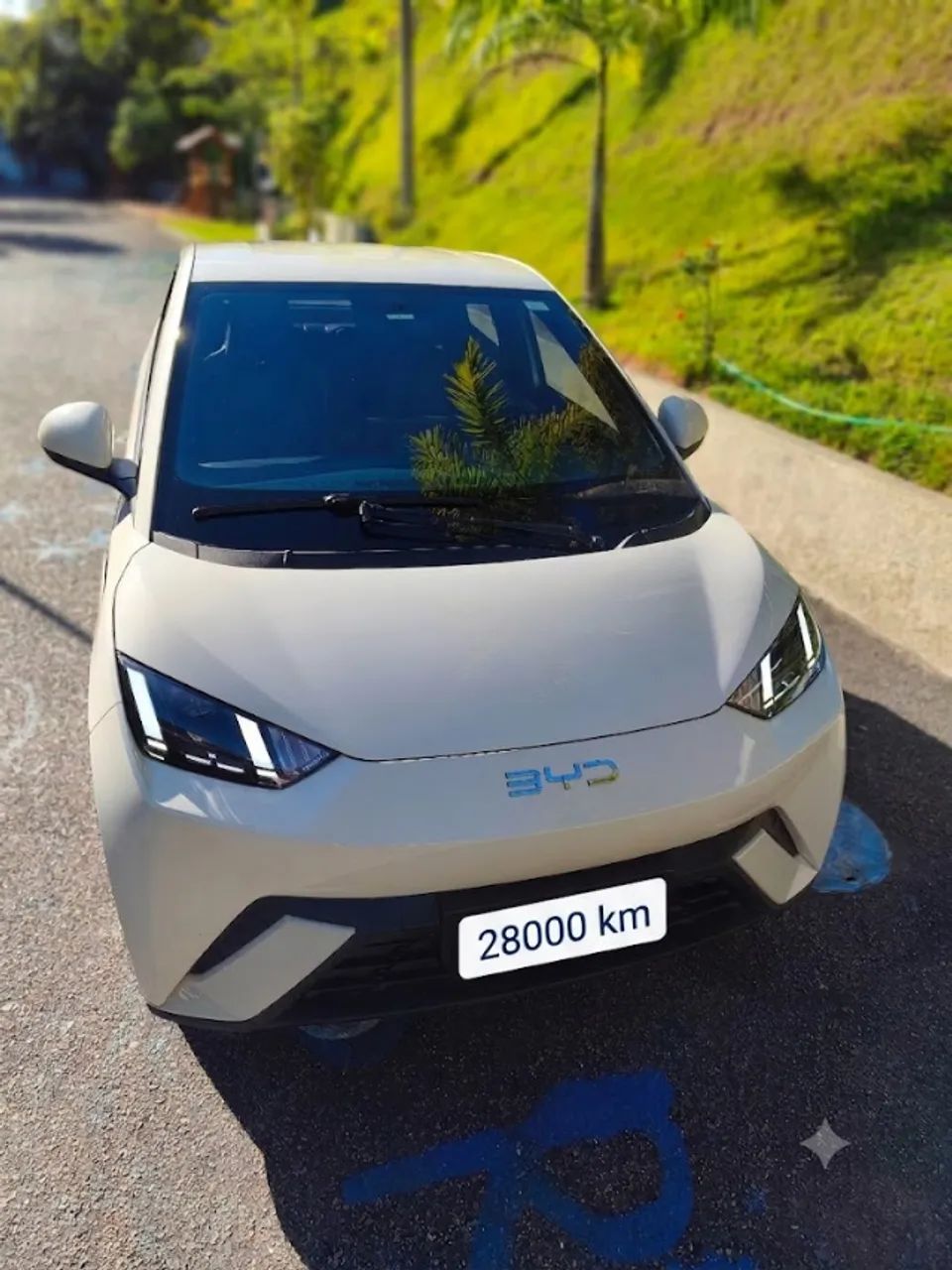 BYD Dolphin Dolphin Mini (Elétrico) 2025