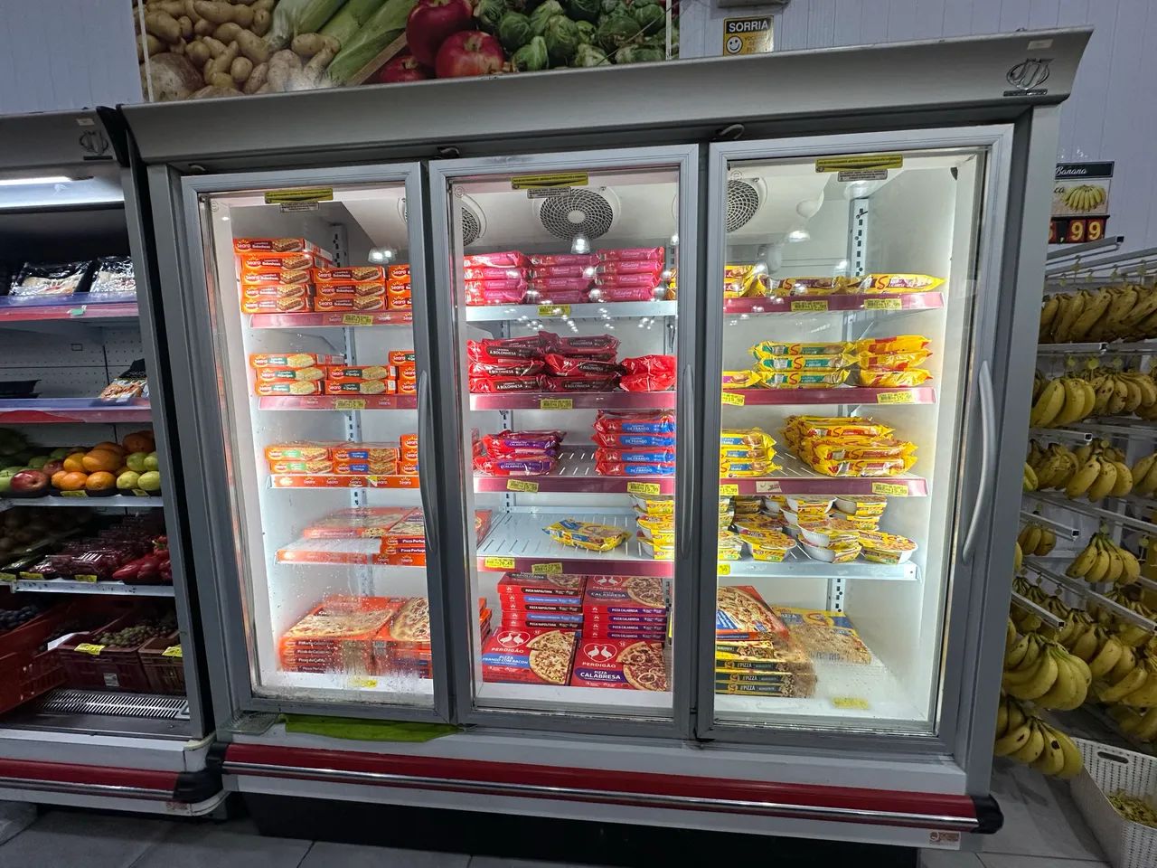 FREEZER CONGELADO VERTICAL
