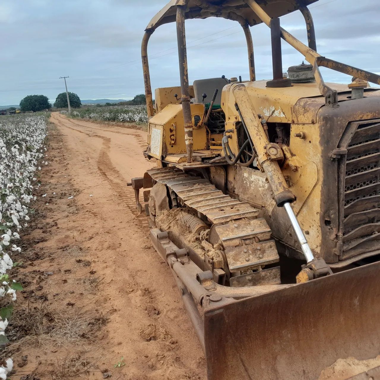 CAT D4E série 76W  - Foto 5