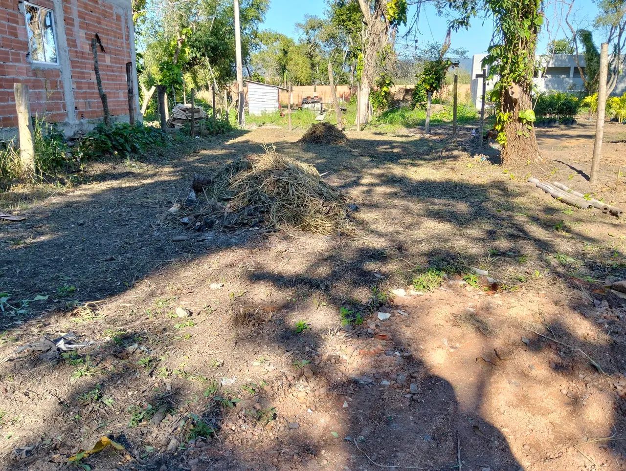 Limpeza  - Foto 3