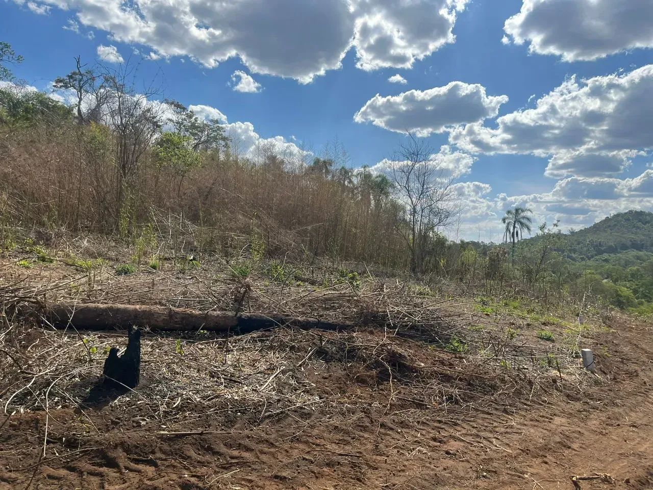 85A- SAIA DO ALUGUEL E CONQUISTE O SEU TERRENO! - Foto 4