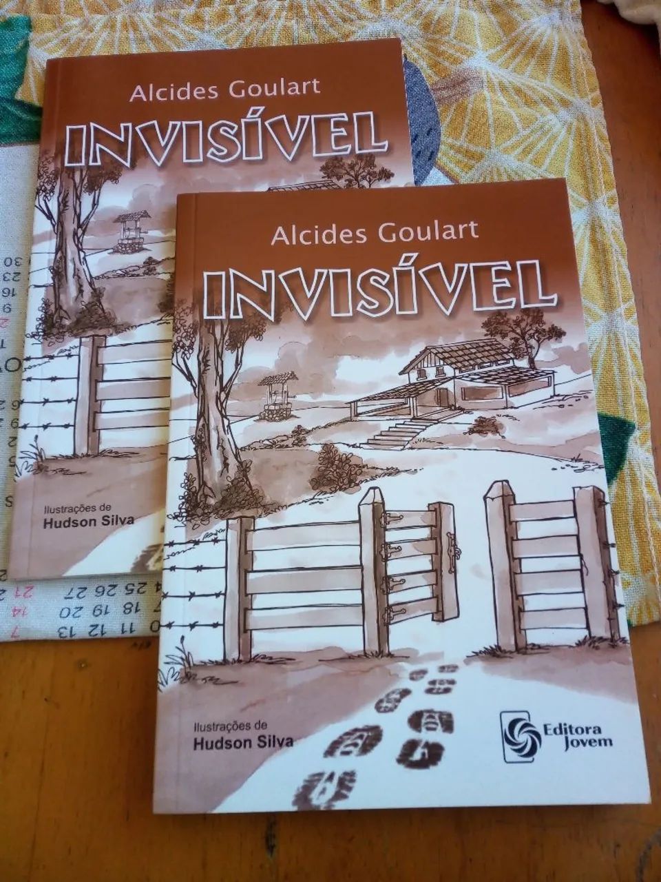 Kit com 2 livros : Invisível 