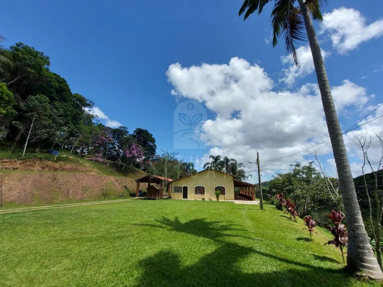 Sítio Produtivo, com188.000 m² e Vista panorâmica - Foto 7