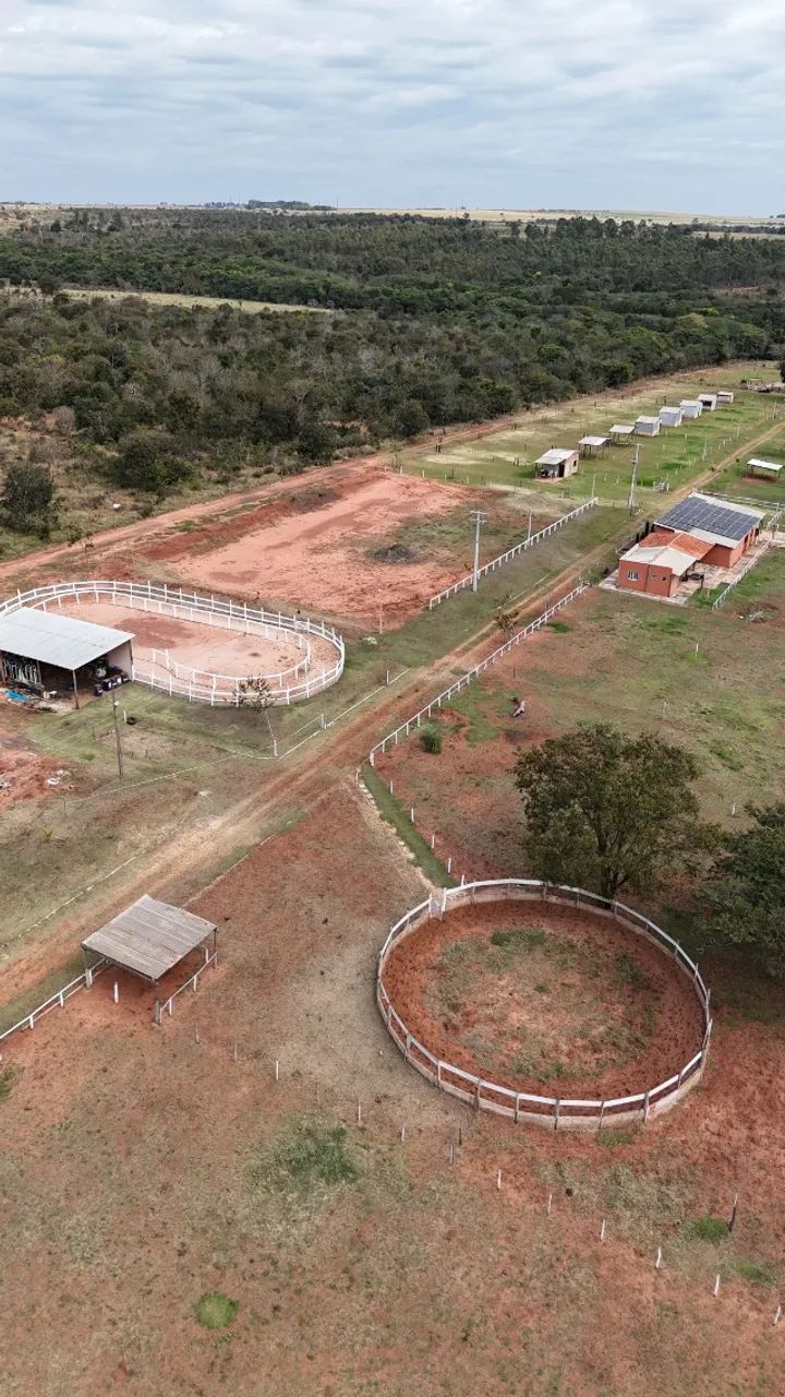 Haras 17,5 Hectares Próximo a Campo Grande-MS!