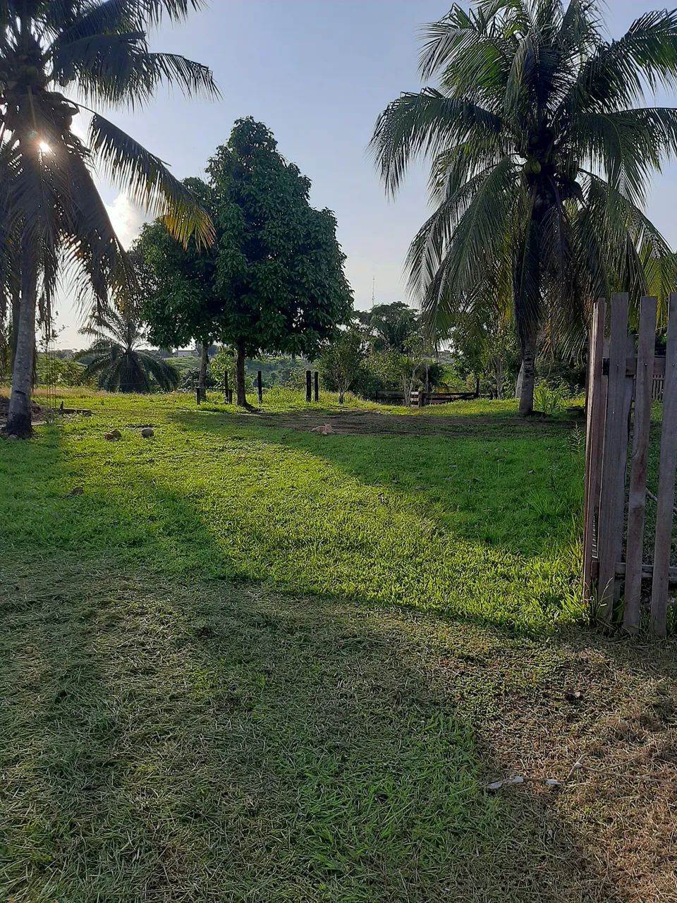 Vendo chácara no centro do bujari 