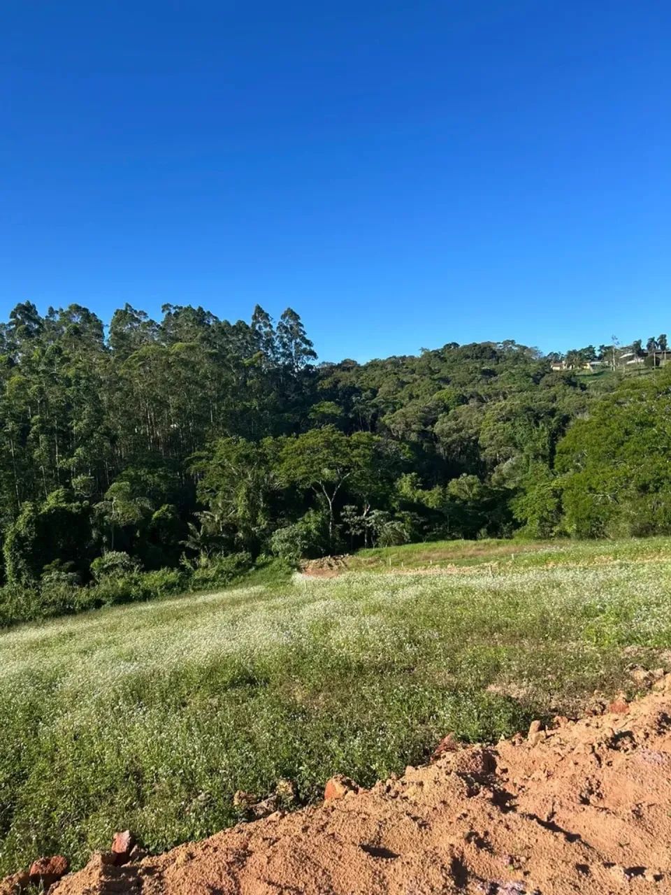 COTIA TE ESPERA: 500m² COM NEGOCIAÇÃO ESPECIAL! - Foto 4