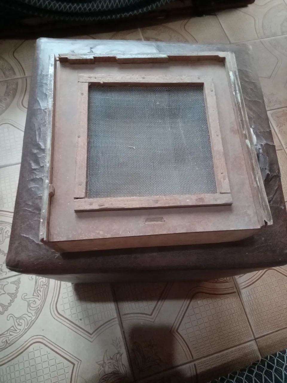 Caixa porta tenebrio