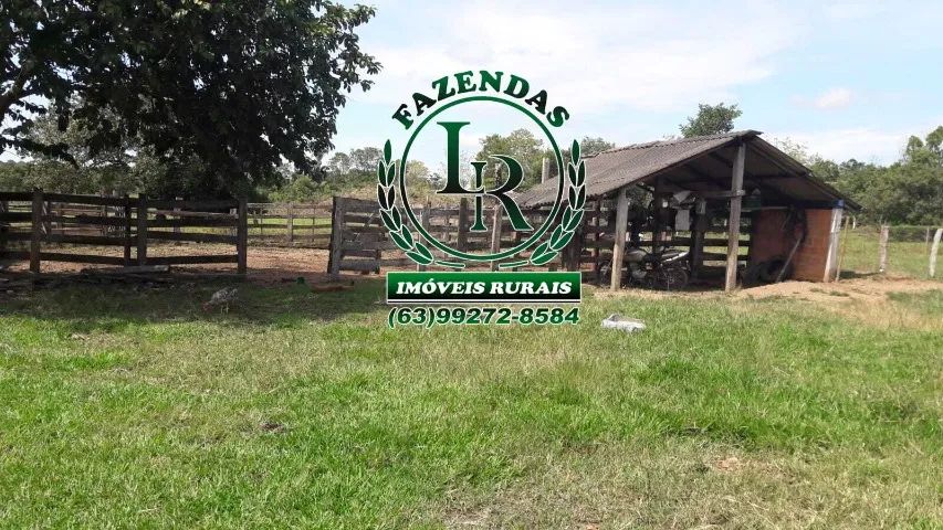 Fazenda 44 Alqueires Região Dois Irmãos - Foto 2